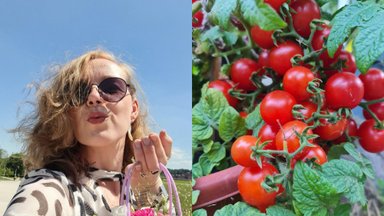 Ilgametę daržininkystės patirtį turinti Jurgita atskleidė pagrindines daržovių auginimo balkone paslaptis