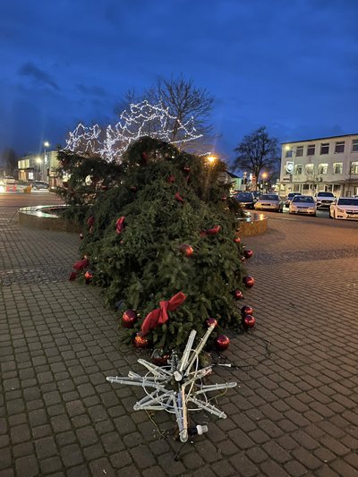 Nuvirtusi Gargždų eglė