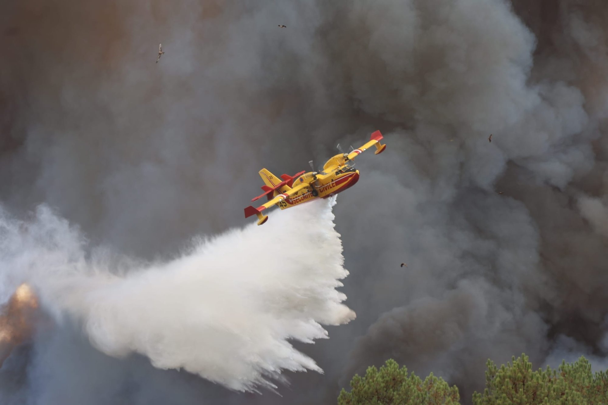 France declares largest wildfire since 1949 contained near Bordeaux