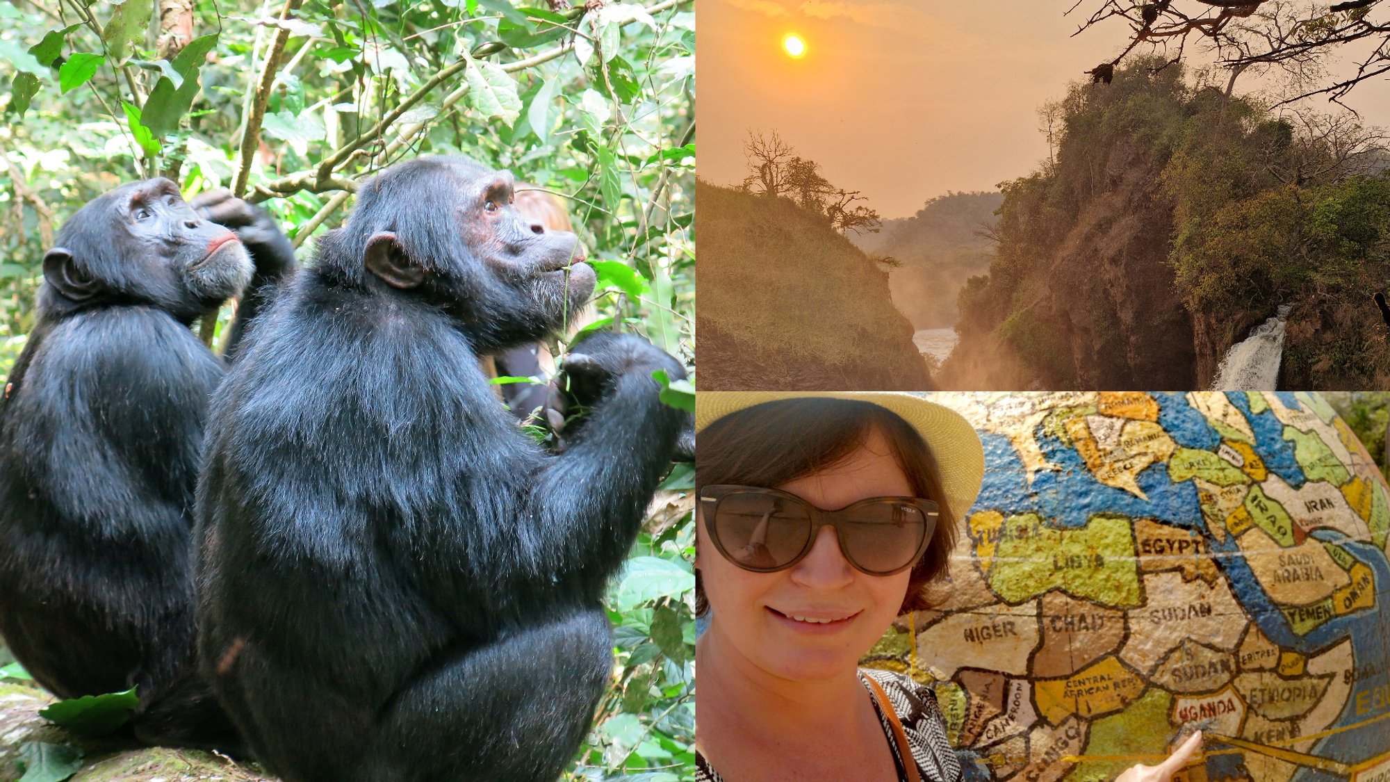 Mountain Gorillas in the Fog: Why Experiencing Undiscovered Uganda is a Must-Do