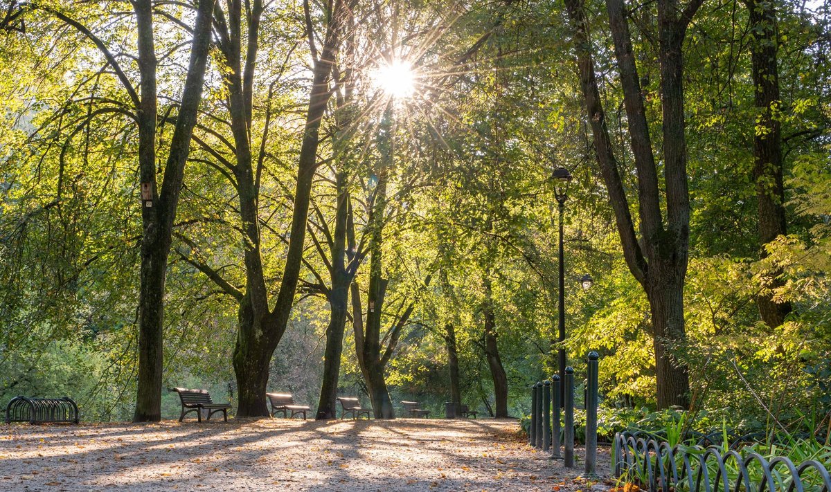 Seima Ruduo Lapkričio pirmų dienų orų prognozė - Delfi