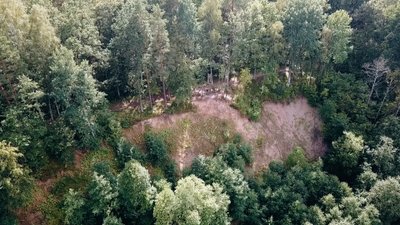 Dauginčių atodanga Salantų regioniniame parke