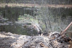 Kas po nelaimės buvo padaryta Pabradės poligone