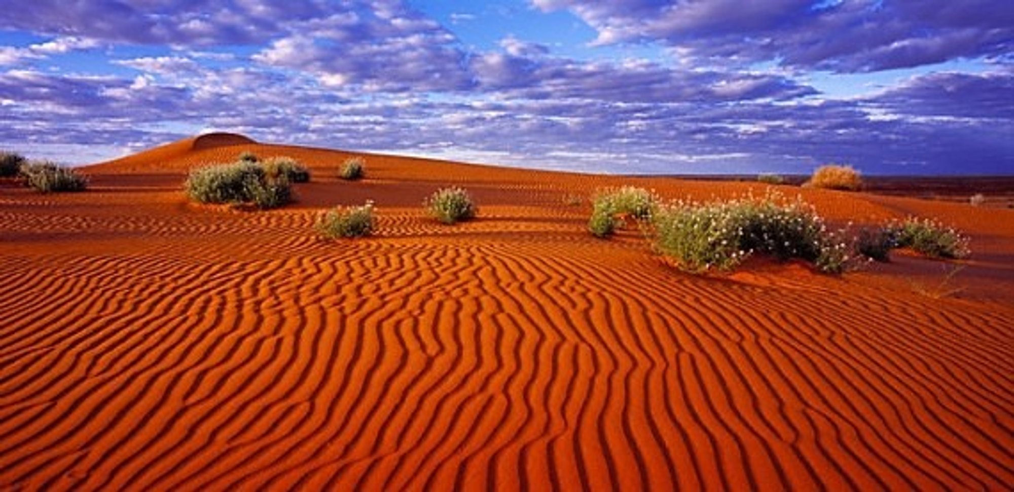 Australija - neatrastas rojus - Delfi kelionės