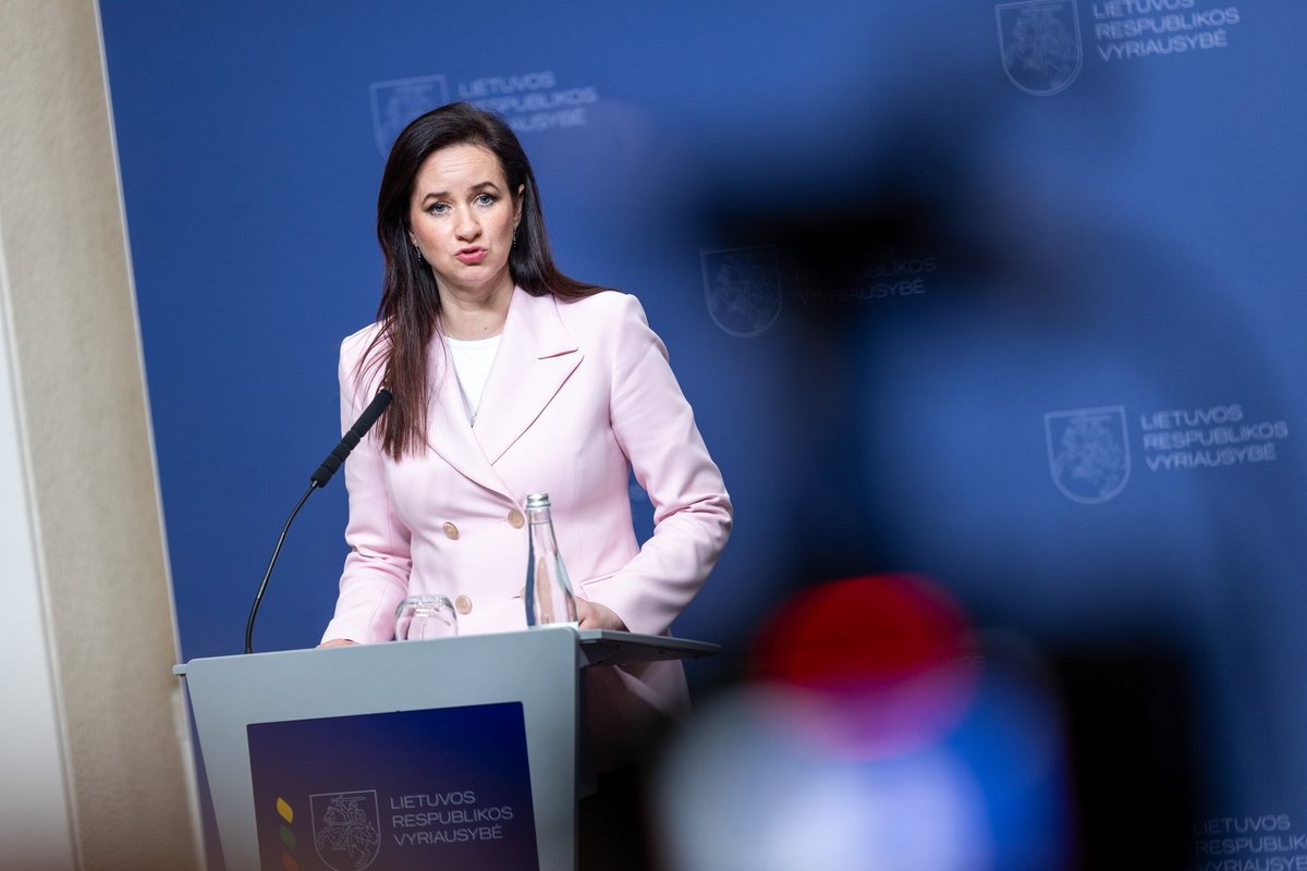 Henrika Rugine Klausimai Ruginienei: kaip socialdemokratai nesupranta? - Delfi