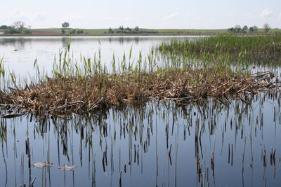 Plaukiojanti sala Žuvinto žere