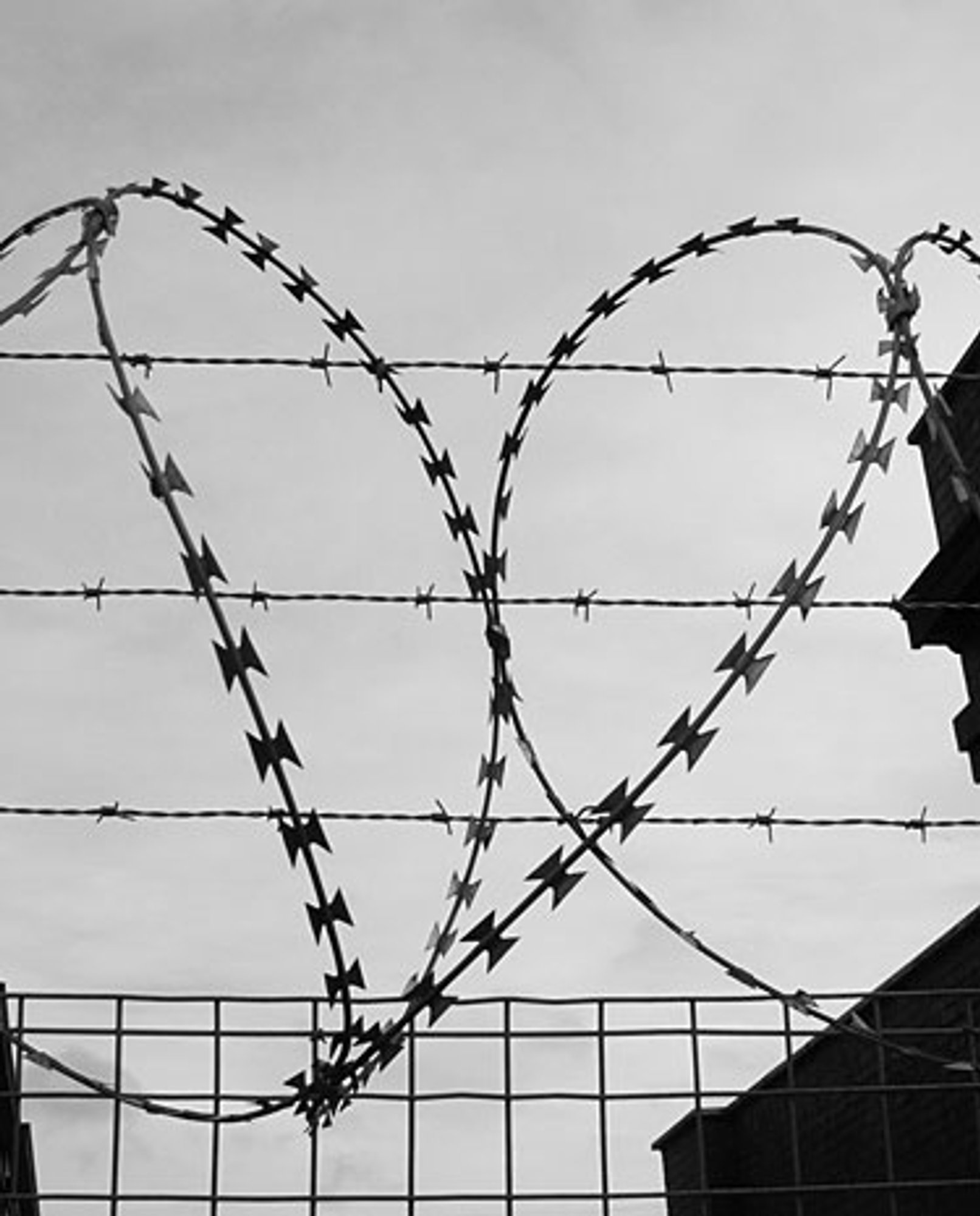 arhivach.org картинки про инцест( 