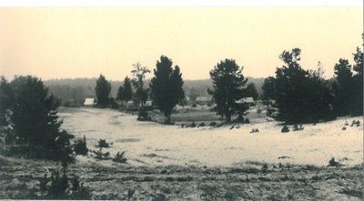 Mančiagirės kaimo pieskynai. 1963 m. Nuotr. aut. Rimvydas Kunskas