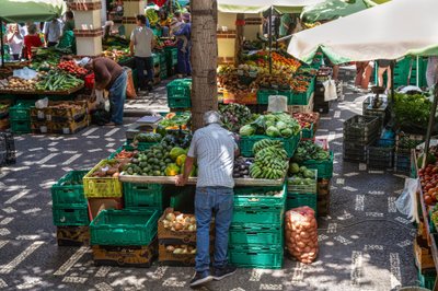 Madeira – egzotinių vaisių rojus