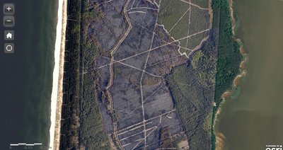 Žala Kuršių nerijai iš kosmoso