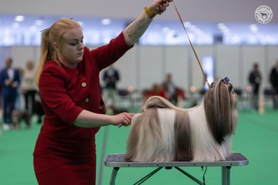 „Litexpo“ gruodžio 16-18 d. daugiau kaip 1700 šunų iš įvairių Europos šalių varžėsi tarptautinėse šunų parodose