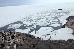 Ar tikrai klimato kaita yra apgaulė ir ledas Antarktidoje ne mažėja, o didėja?