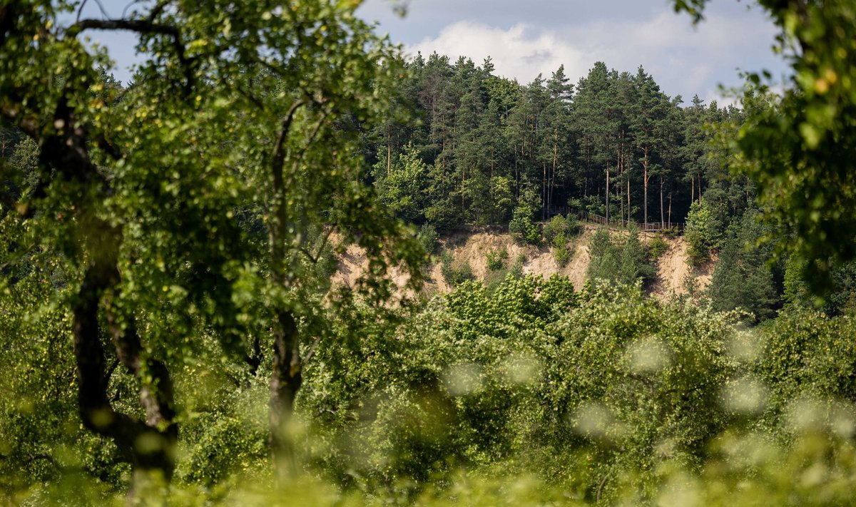 Pučkorių atodanga