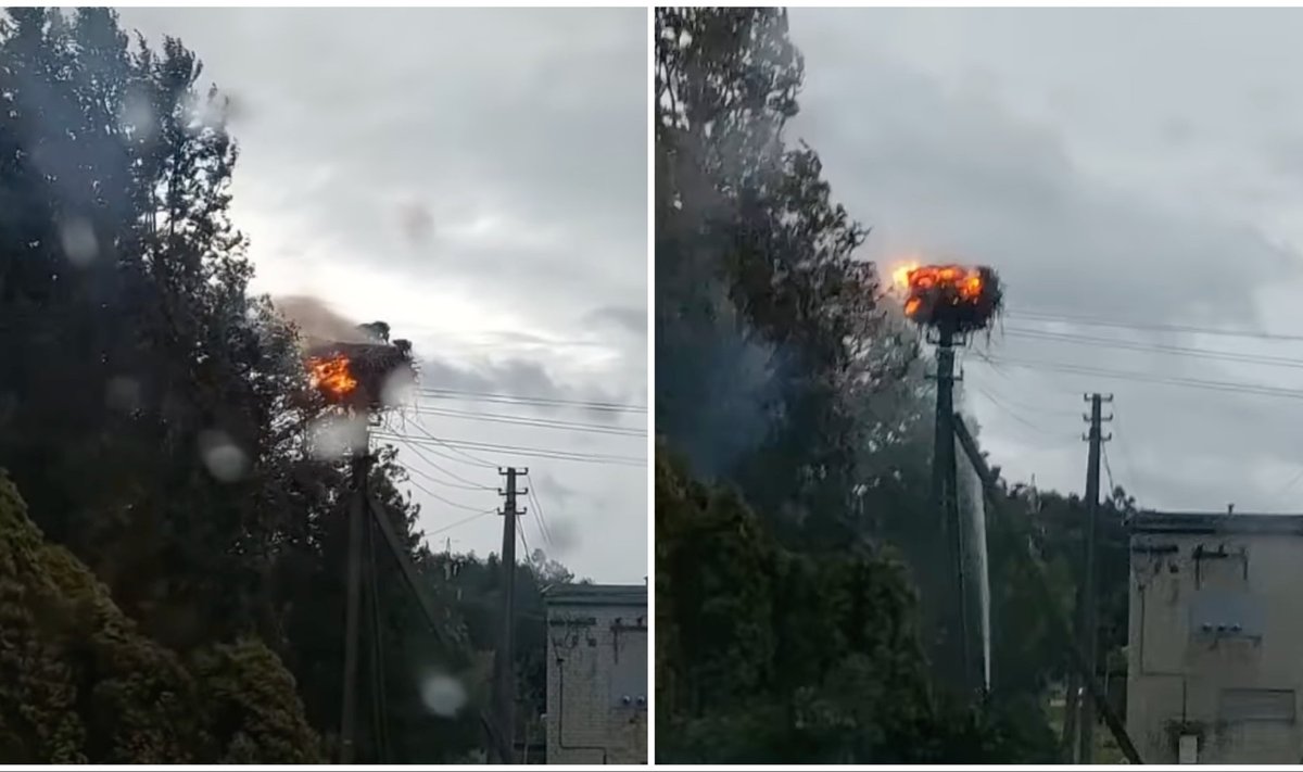 Marijampolėje nuo audros padarinių įsiliepsnojo gandralizdis