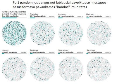 Kairėje viršutiniame kampe – procentas populiacijos reikalingas užtikrinti „bandos“ imunitetą. Kituose apskritimuose – realus procentas imunitetą turinčių asmenų labiausiai COVID-19 pandemijos paveiktose vietose. Datos atitinka tyrimų publikavimo datas. Nurodomi procentai gali būti su paklaida, ypač tose vietose, kur COVID-19 infekcijos buvo retesnės. Duomenys iš Uhano – rinkti tarp į darbą grįžtančių asmenų.