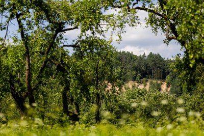 Pučkorių atodanga