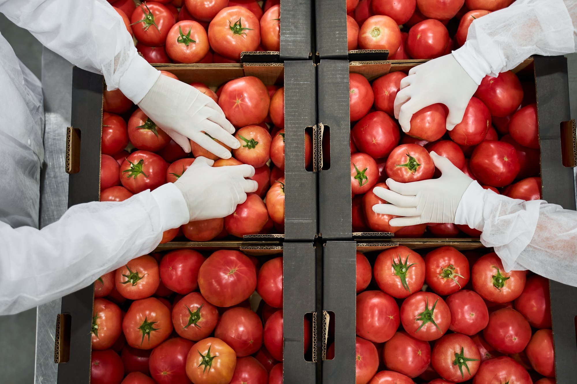 Spanish Scientists Link Farm Chemicals in Produce to Health Issues, Early Puberty