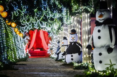 Įspūdingam žiemos festivaliui besiruošiantis Pakruojo dvaras