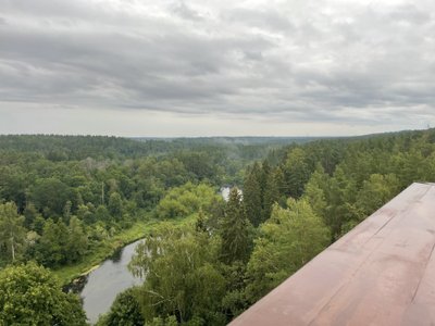 Medžių lajų takas Anykščiuose