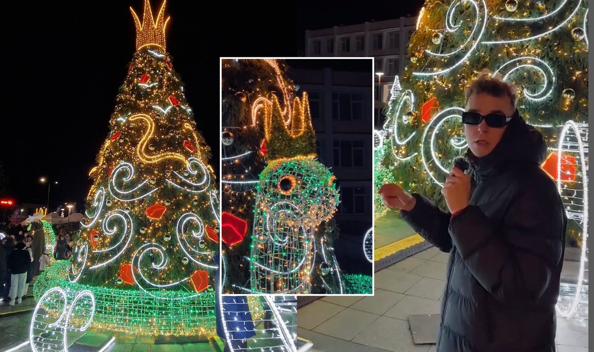 Justas Pečeliūnas įvertino Radviliškio eglę