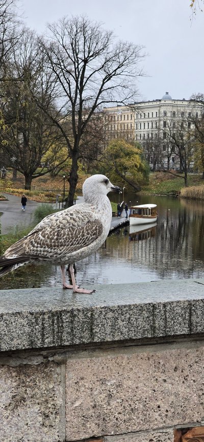 36 ekspedicijos savaitė