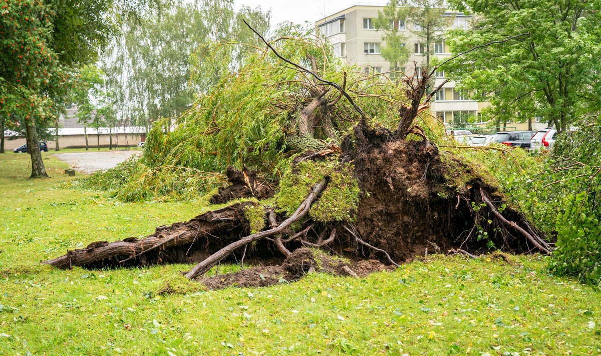 Audros padariniai Panevėžyje