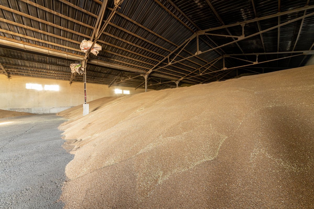 It was supposed to be shipped, but remained in Poland: Ukrainian grain fuels a conflict between neighbouring countries