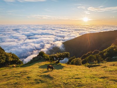 Madeira