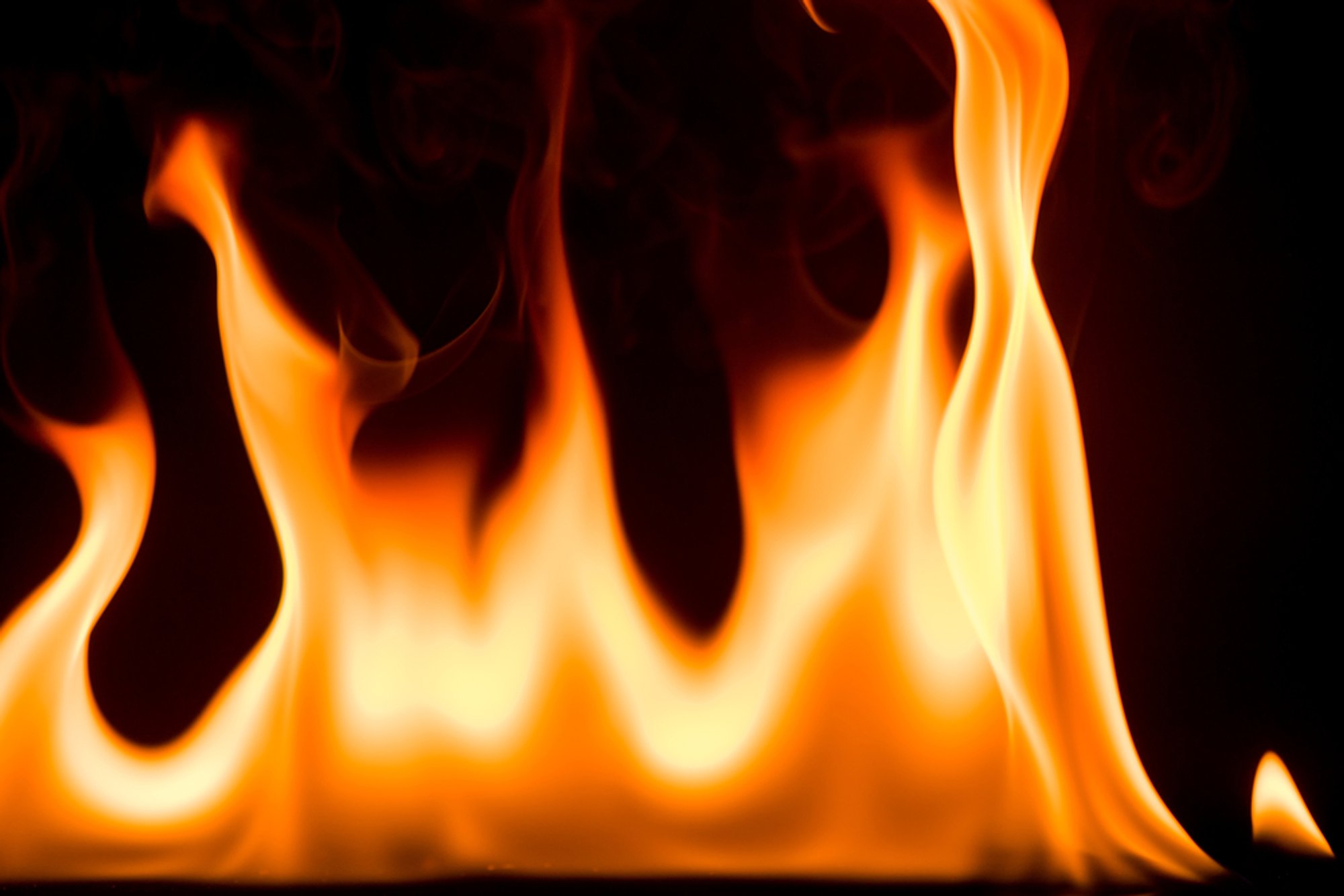Ugnis negailestinga – iš ūkininkų atėmė pragyvenimo šaltinį - Delfi agro