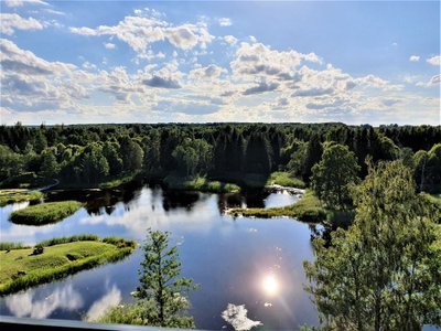 Vaizdas iš Kirklių apžvalgos bokšto