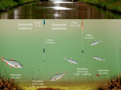 Schema. Žvejyba plūdine meškere kanale