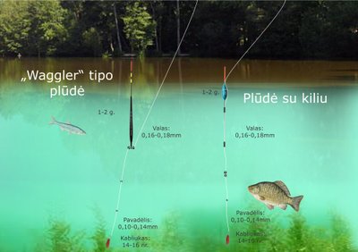 Schema. Karosų žvejyba