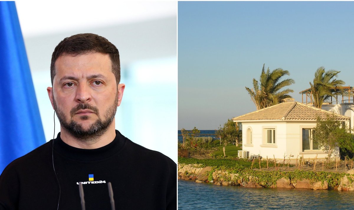 Volodymyr Zelensky and El Guna in Egypt