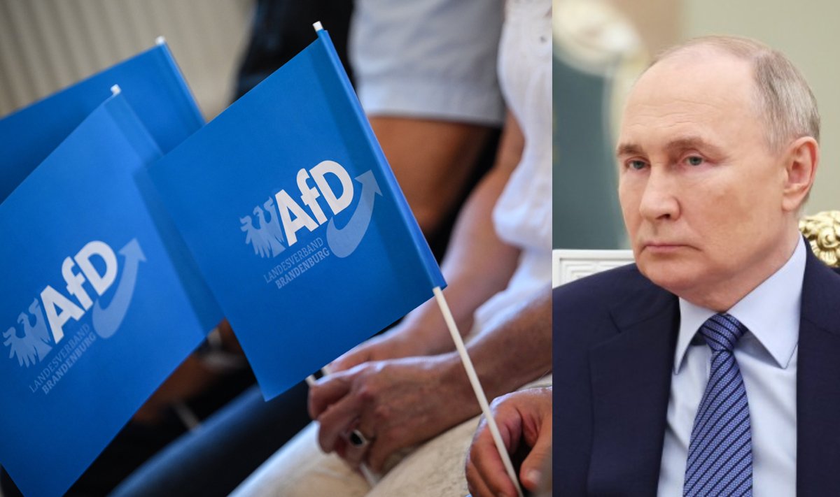 AfD vėliavėlės, Vladimiras Putinas