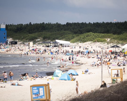 Когда выгодно отдыхать в 2026 году: лучшие и худшие месяцы