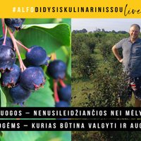 Superuogos, nenusileidžiančios nei mėlynėms, nei šilauogėms: būtina valgyti ir auginti darže