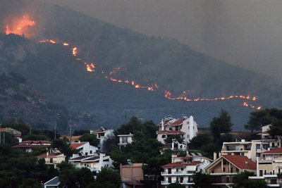 Miškų gaisrai Graikijoje