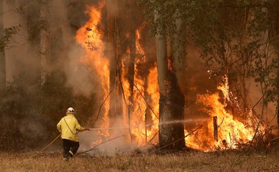 Australiją niokoja miškų ir krūmynų gaisrai