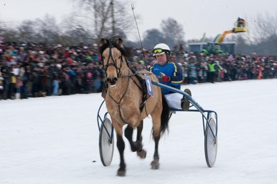 Lenktynės „Sartai 2013“