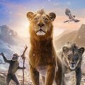 Filmo „Mufasa. Liūtas karalius“ recenzija: bedvasė, bet labai graži priešistorė