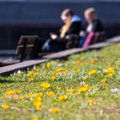 В выходные будет тепло, но ветрено, со следующей недели ждут перемены