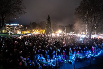 Druskininkų eglutė, nuotr. Justinas Kyga