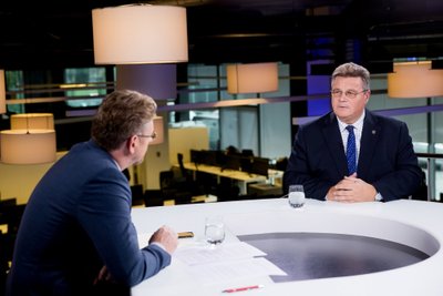 Olegas Jerofejevas, Linas Linkevičius