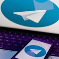 "Настоящий гений": что известно о Николае Дурове, сооснователе Telegram