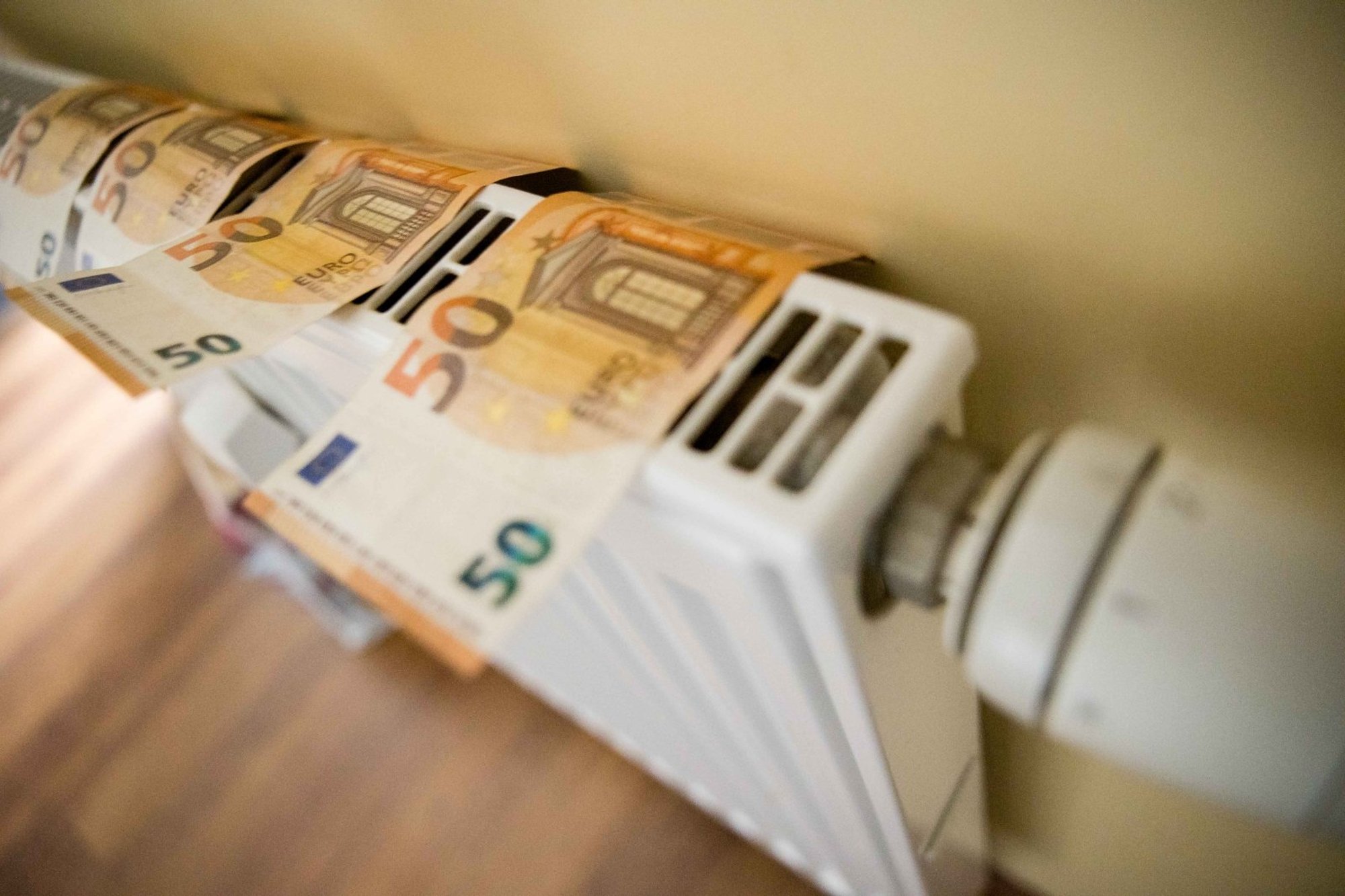 Lithuanian Heating Bills to Rise as Biofuel Costs Surge