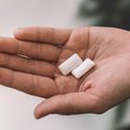Tyrimo rezultatai, kurie privers atsisakyti kramtomosios gumos: pasibaisėsite sužinoję, iš ko ji pagaminta