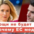 Эфир Delfi с послом Литвы Линасом Линкявичюсом и политологом из США: Европа стреляет себе в ногу?