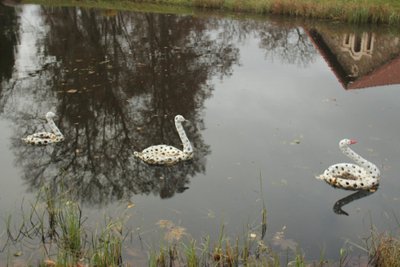 Meno kūriniai iš gamtinių medžiagų, paroda „Gamta ir menas“.