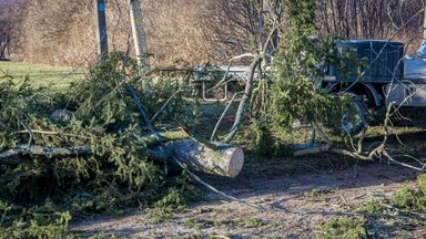 ESO: elektros tiekimas atstatytas 28 tūkst. klientų