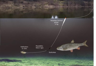 Schema. Sistemėlė pavasariniams šapalams gaudyti